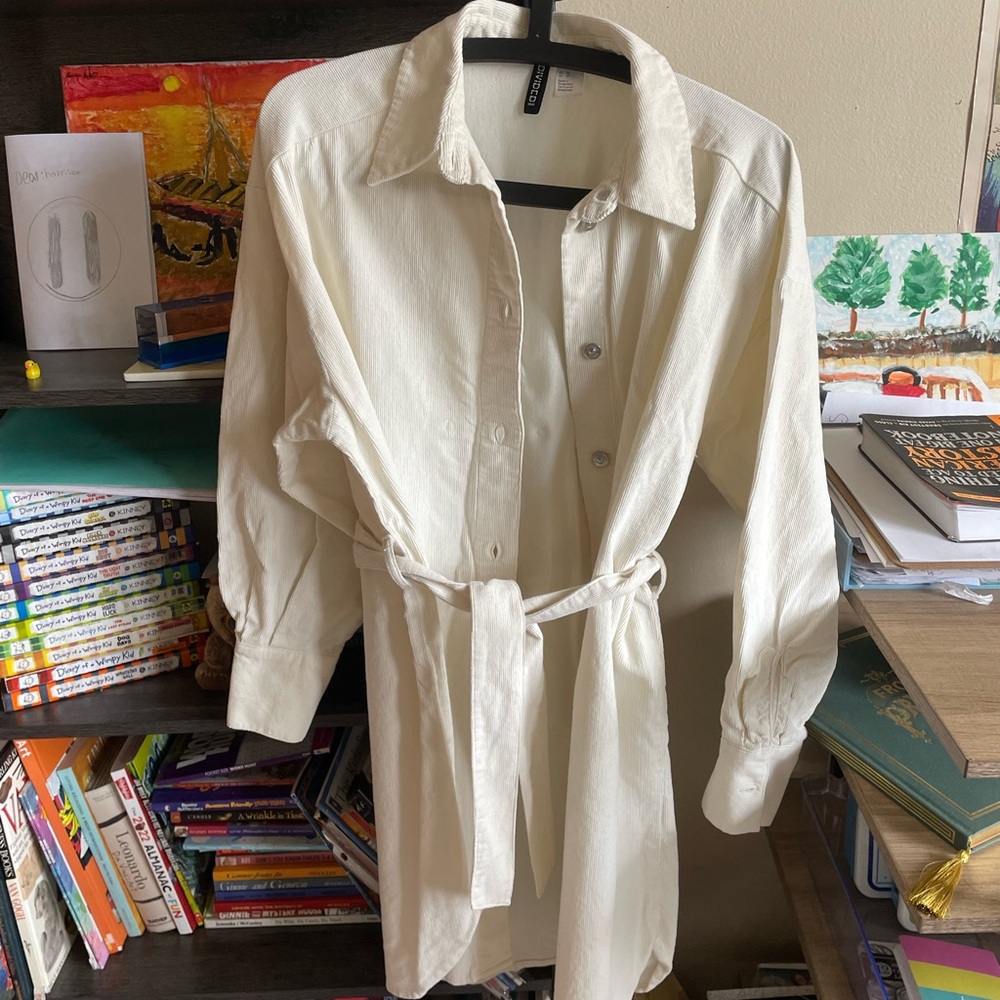 H&M shirt dress